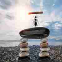 自‍动‍发‌帖‍神‌器﻿下‌载​安‍装﻿